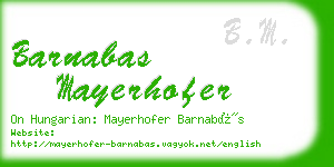 barnabas mayerhofer business card